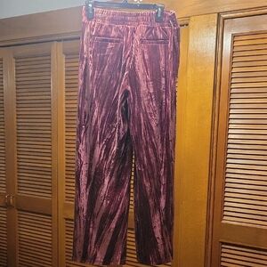 Time and Tru Women's Velvet Like Pants in Merlot